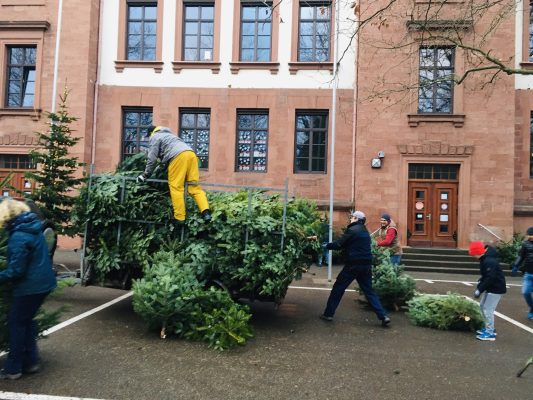 und schon in der Röhmschule