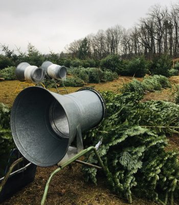 Frisch vom "Feld" auf den Schulhof